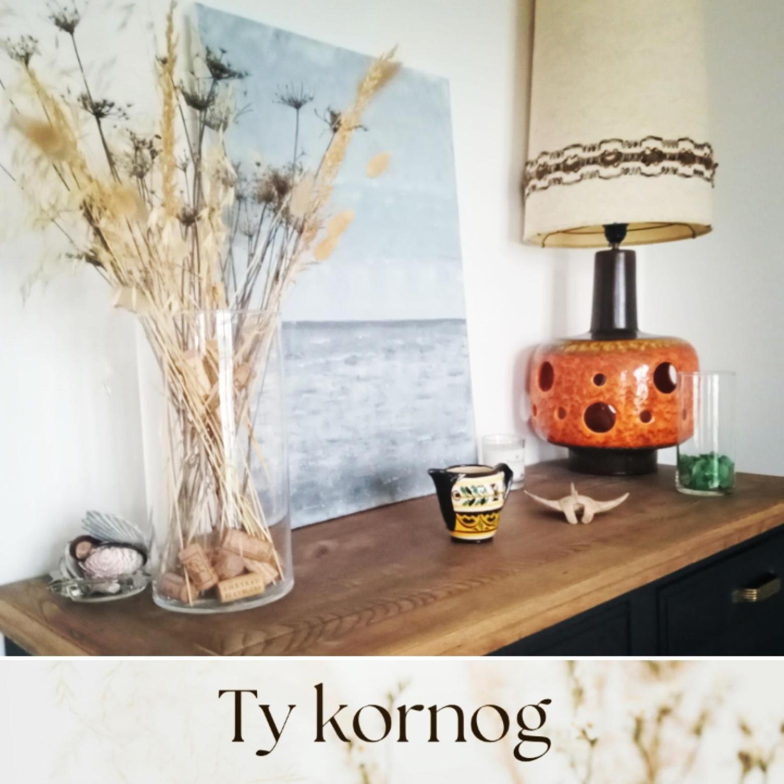 Maison De Vacances Ty Kornog ポン・タヴェン エクステリア 写真